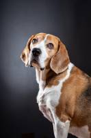 Alexis MACHET - ALMA PHOTO