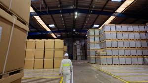 Boris TAIEB - TAIEB - PLAN FOKAL