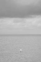 Julie PECQUEUX - Julie Pecqueux