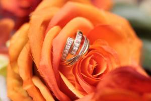 Thierry POTVAIN - THIERRY POTVAIN